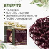 Quikhenna 100% Organic Powder Hair Color- 120 Gm- 9BG Burgundy - BuyPureNaturals