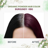 Quikhenna 100% Organic Powder Hair Color- 120 Gm- 9BG Burgundy - BuyPureNaturals