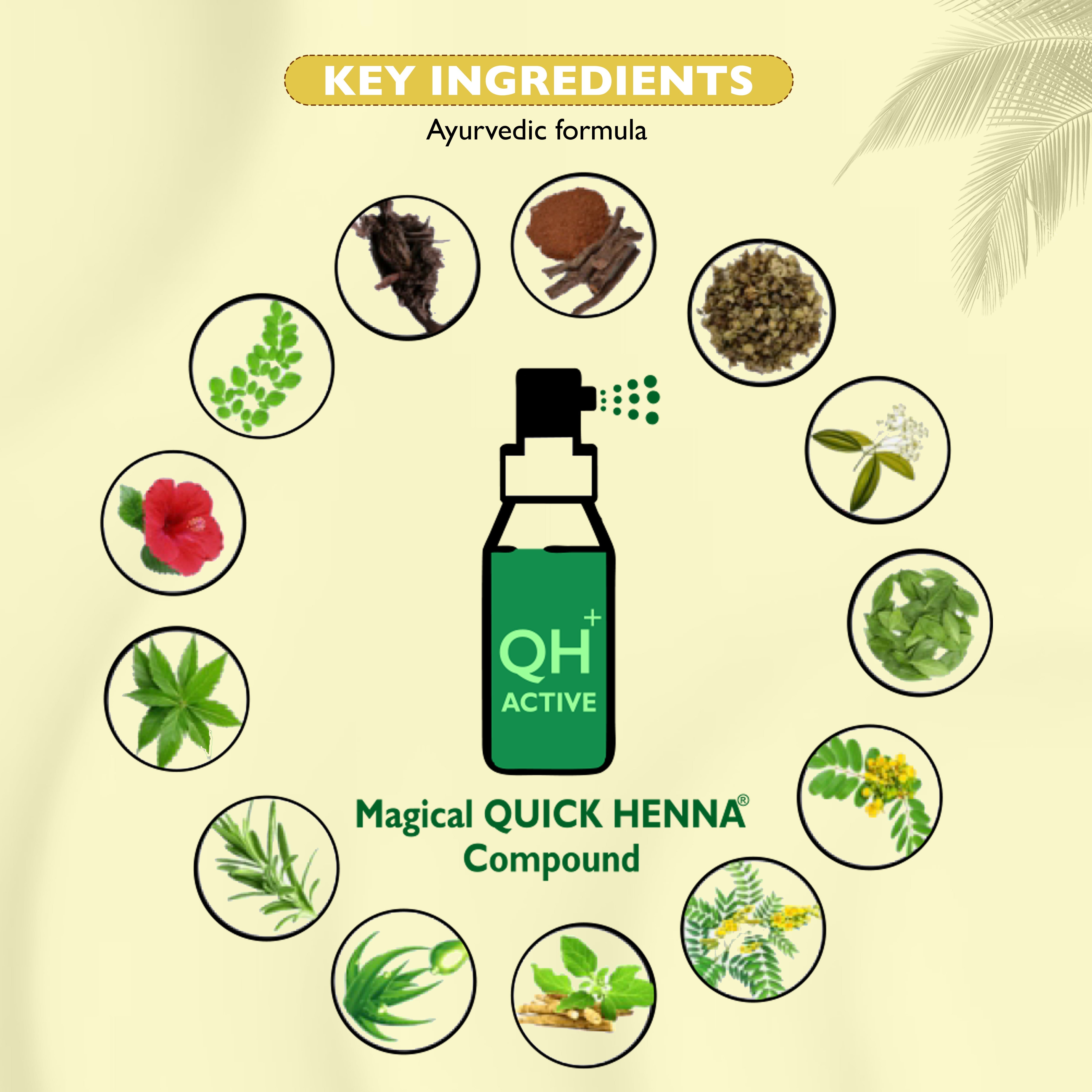 QH+ QuikHenna FLORA Organic Gel Roots Touch Up Hair Color- 32gm- 3N Dark Brown - BuyPureNaturals