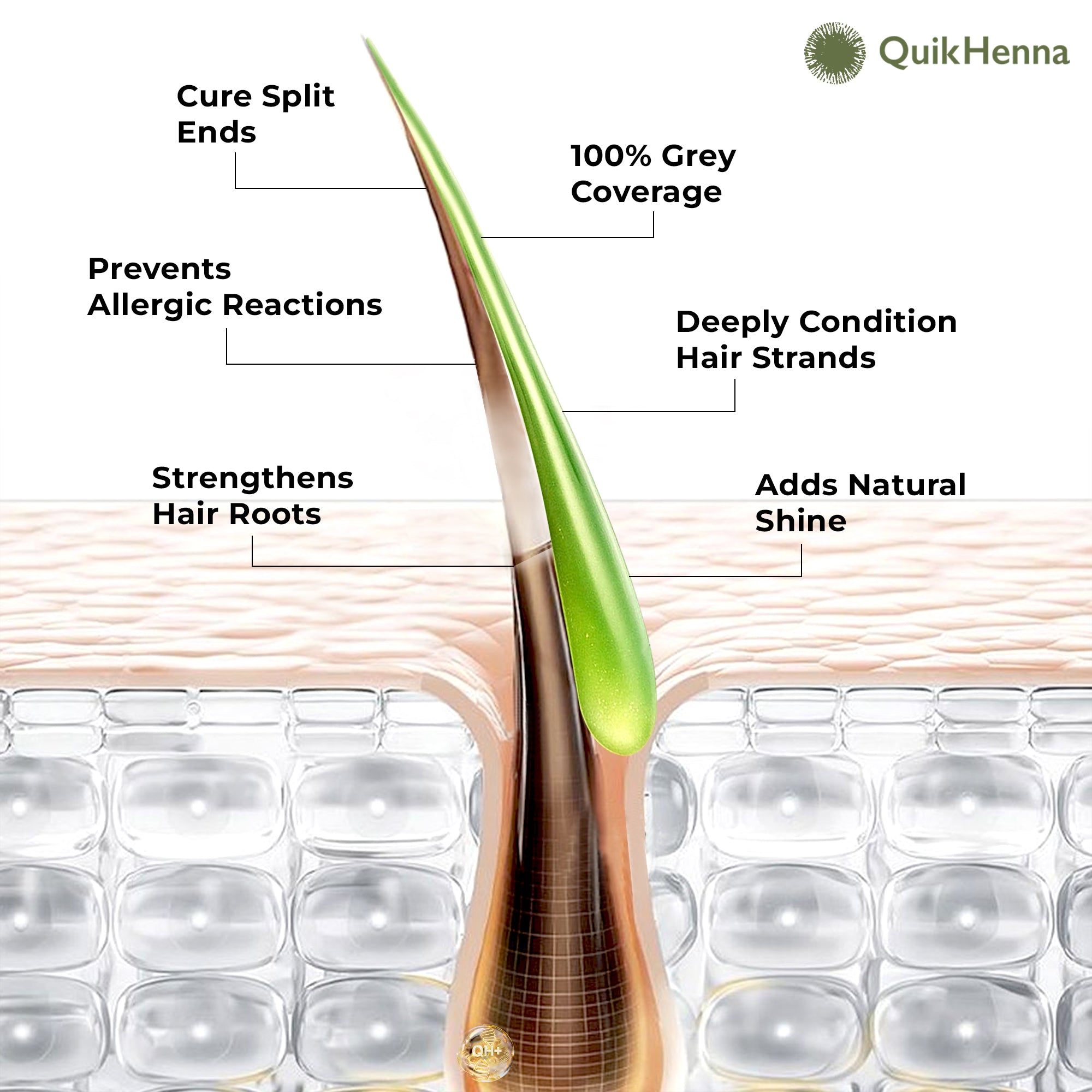 QH+ QuikHenna CLINICA Organic Gel Innovative Derma Hair Color 165gm- 9RG Burgundy - buyPureNaturals