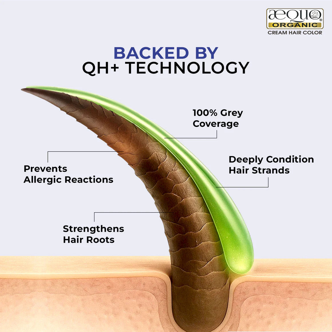 Aequo Organic Cream Hair Color Salon Pack- 120ml