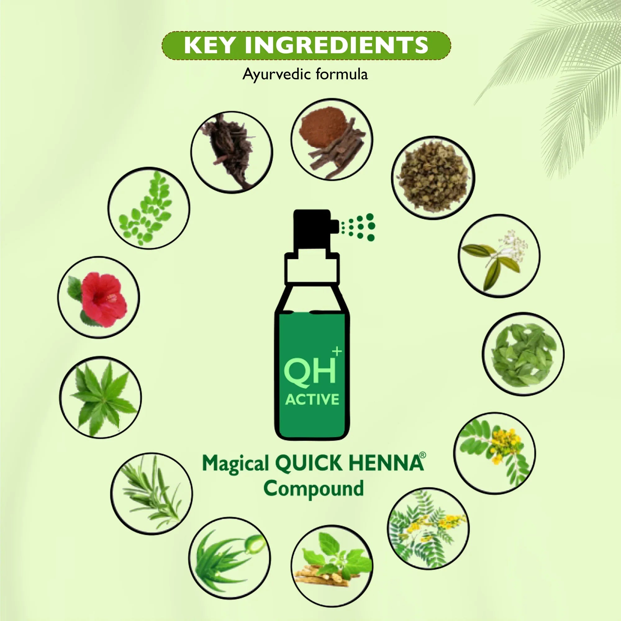 QH+ QuikHenna FLORA Organic Gel Double Use Hair Color- 70gm - BuyPureNaturals